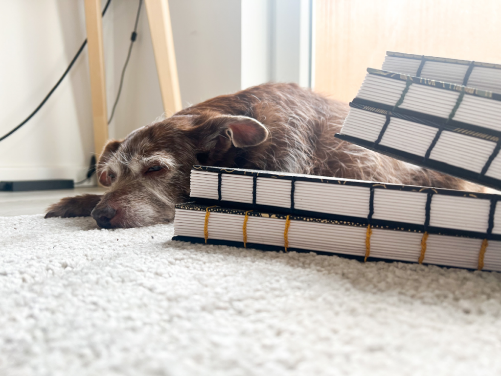 Small dog laying next to a stack of notebooks